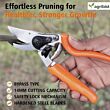 REVOCUT Pruning Shears with Comfortable PVC Grip Handle Heavy Duty Handheld Pruner Gardening Scissor Plant and Branch Cutter Shears Tool for Home Garden (Multicolor) (Pack of 25)