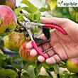 FKC-92 Fruit Plucker with Steel Blade for Harvesting Garden for Oranges Lemons Kinnows Gardening & Farming Tool (Pack of 25)