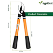 SPLS-7006 Professional Lopper Shear with Non Stick Coating Blade Garden Pruner Tree Hedge Branch Cutter Garden Loop Pruning Tool (Pack of 1, 380mm, Yellow and Black) (Pack of 25)