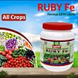 Multiplex Ruby Fe (Ferrous EDTA 12%) 1KG (Pack Of 25)