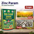 Multiplex Zinc Param (Zinc Sulphate Monohydrate) 500 GM (Pack of 25 )