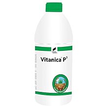 AGRIBIST| Promotes Root Growth- Enhance Resistance of Turf grasses