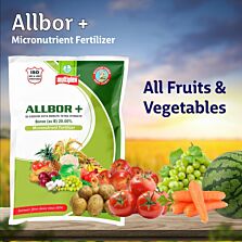 AGRIBIST | Allbor + (Boron 20%) 100GM