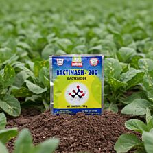 AGRIBIST | Bactinash-200 (Bactericide)