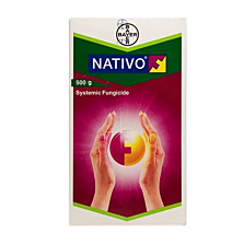 Agribist | Nativo 75 WG Fungicide (Tebuconazole 50% + Trifloxystrobin 25%) - Dual Action Systemic Fungicide