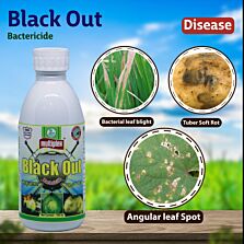 AGRIBIST | Black Out (Bactericide) 50ML
