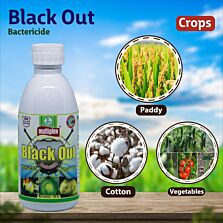 AGRIBIST |  Black Out (Bactericide) 250ML