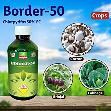  AGRIBIST |Border-50 Insecticid250ML