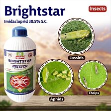 AGRIBIST |  Brightsar Insecticide 100ML