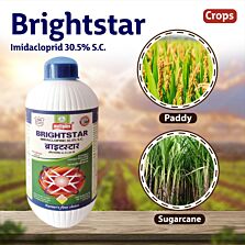 AGRIBIST | Brightsar Insecticide 500ML