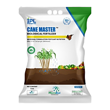 Cane Master - Acetobacter (Gluonoacetobacter diazotrophicus) 1KG (Pack Of 25)