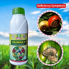  AGRIBIST | Chamak Plus + (Liquid Calcium)