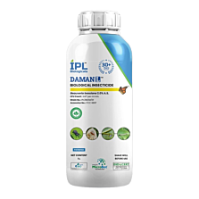 IPL Daman (L) (Beauveria Bassiana 2.0 A.S.) Bio Pesticide, Enhances Crop Yield And Quality By Preventing Pest Infestations. 1L (Pack Of 25)