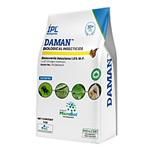 Daman Powder - Beauveria bassiana 1.0% W.P.  1Kg (Pack Of 25)