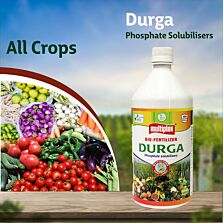 AGRIBIST |  Durga (PSB) Liquid 100ML
