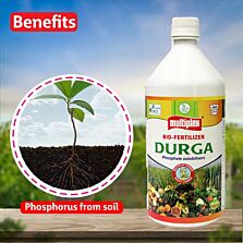 AGRIBIST | Durga (PSB) Liquid 250ML
