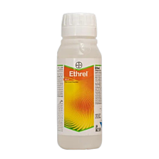 Agribist | Bayer Ethrel Plant Growth Regulator (Ethephon 39% SL) for Ripening & Flowering