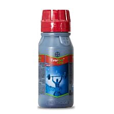 Agribist | Bayer Gaucho Insecticide Imidacloprid 600 FS 48% w/w- Reliable Seed Treatment Against Sucking Pests