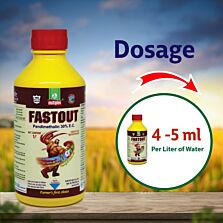 AGRIBIST |Fastout Herbicide5LT