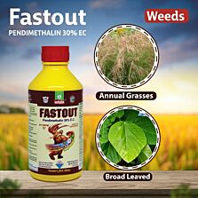 AGRIBIST| Fastout Herbicide1LT