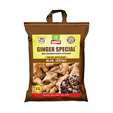 AGRIBIST | Ginger Special (Multi Micronutrient Fertilizer) - 8 KG