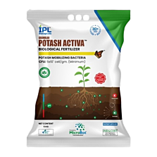 Granular Potash Activa -Potash Mobilizing Bacteria (KMB) 1 kg( Pack of 25)