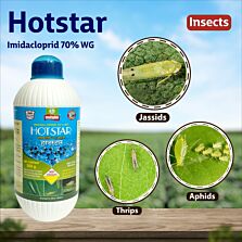 AGRIBIST | Hot Star Insecticide 30GM