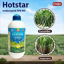 AGRIBIST | Hot Star Insecticide 150GM