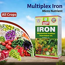 AGRIBIST | Iron Micro Nutrient - 1 KG
