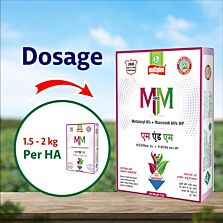 AGRIBIST |M&M Fungicide1KG