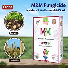  AGRIBIST|M&M Fungicide100GM