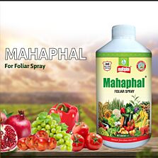 AGRIBIST | Mahaphal (Bio Stimulant)