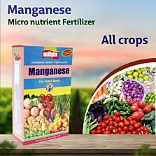 AGRIBIST | Manganese (Micro Nutrient) 1KG