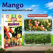  AGRIBIST | Mango (Multi Micronutrient Fertilizer) - 500 GM