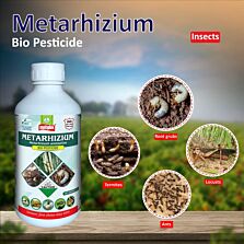 AGRIBIST | Metarhizium Insecticide (Liquid)5LT