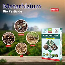 AGRIBIST | Metarhizium (Powder) - 1 KG