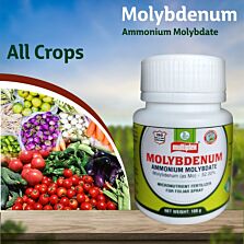 AGRIBIST | Molybdenum (Micro Nutrient Fertilizer)20GM