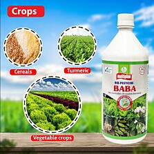 AGRIBIST | Baba Bio Insecticide Beauveria bassiana- Liquid