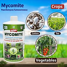 AGRIBIST | Mycomite (Miticide) Liquid 500ML
