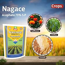 AGRIBIST |Nagace Insecticide
