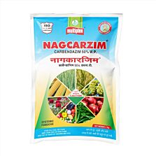 AGRIBIST | Nagcarzim Fungicide 100GM
