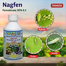 AGRIBIST | Nagfen Insecticide - 1LT