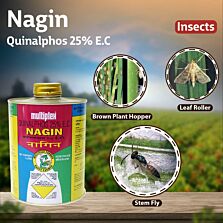 AGRIBIST | Nagin Insecticide 100ML