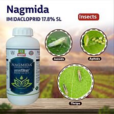AGRIBIST | Nagmida Insecticide 500ML