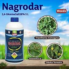  AGRIBIST|Nagrodar Herbicide250ML