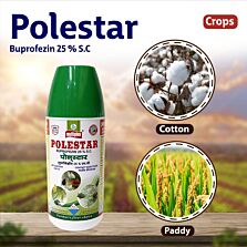 AGRIBIST | Polestar Insecticide 250ML