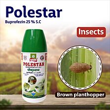 AGRIBIST | Polestar Insecticide 500ML