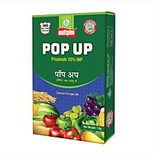 AGRIBIST | Pop-Up Fungicide 250GM