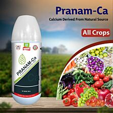 AGRIBIST | Pranam-Ca (Liquid Calcium Fertilizer)100ML