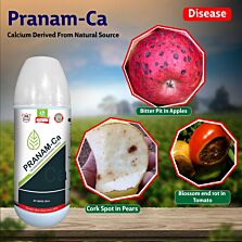 AGRIBIST | Pranam-Ca (Liquid Calcium Fertilizer) 500ML